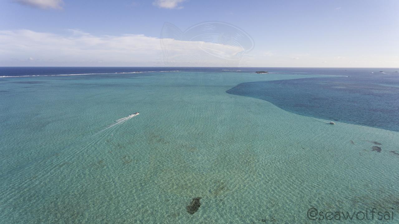 Sea Wolf Apartments San Andrés Екстериор снимка
